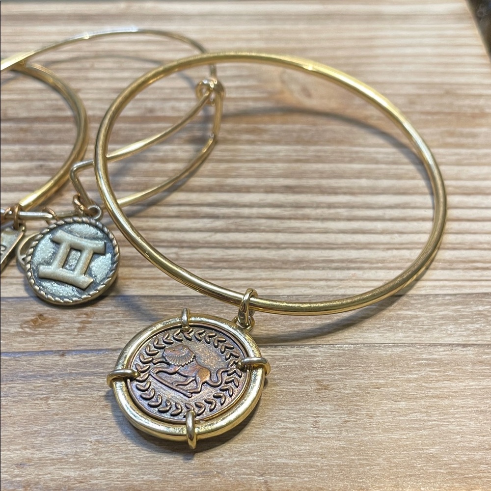 Gold Charm Bangle Bundle - Picture 3 of 6